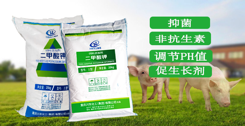 非抗生素飼料添加劑二甲酸鉀適合豬料無抗方案嗎？